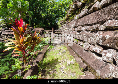 Stadtmauer in Nan Douwas, Nan Madol: Prähistorische ruiniert Stein Stadt gebaut aus Basalt Platten. Alte Mauern in der Lagune von Pohnpei, Mikronesien, Ozeanien Stockfoto