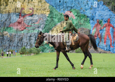 Ein Kubaner und seine Pferde traben vor dem bunten Mural de la Prehistorica in Kuba. Stockfoto