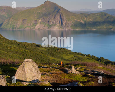 Wanderer Abstieg vom Berg Husfjell, über dem Fjord Bergsfjord, Insel Senja, Troms, Norwegen Stockfoto