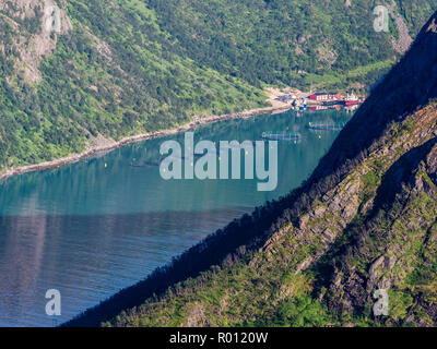 Lachs Fisch Farm, Fjord in der Nähe von Fjordbotn, Insel Senja, Troms, Norwegen Stockfoto