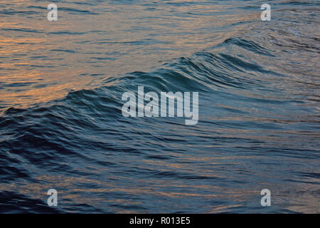 Wave bei Sonnenuntergang. Stockfoto