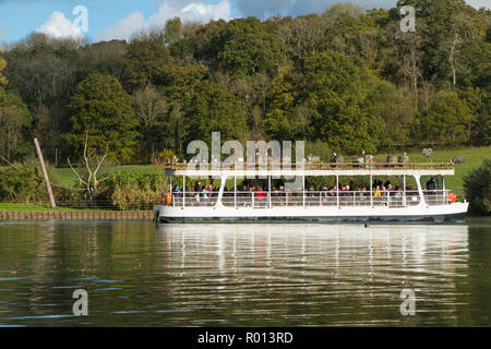 Touristenboot benannt die Dame Badewanne unter Touristen auf einer Reise/Tour - der Dschungel Kreuzfahrt die Kalifornischen Seelöwen - auf den See in Longleat Safari Park, Wiltshire, England, UK (103) Stockfoto