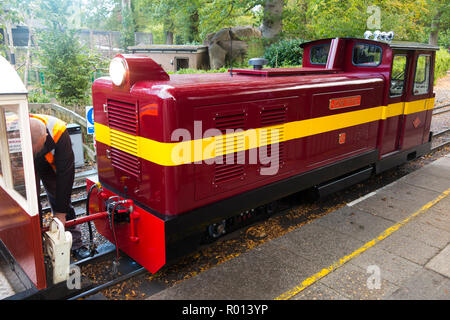 Die John Thynn Dieselmotor lok Lokomotive, zieht die Waggons der Longleat House Safari Park trainieren in Longleat, Wiltshire. England Großbritannien Stockfoto