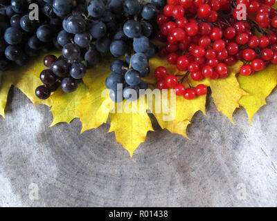 Herbst noch Leben von gelb Ahorn Blätter, Trauben und roten Beeren der viburnum auf Holz verwitterte Hintergrund für Design. Stockfoto