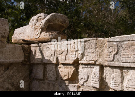 Kukulkan (gefiederte Schlange), die Maya Schlange Gottheit an der steinernen Schädels Plattform (tzompantli), Chichen Itza, Mexiko. Stockfoto