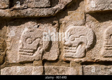 Der Stein Schädel Plattform (tzompantli) mit geschnitzten Bilder von Schädeln in Chichen Itza, Yucatan, Mexiko eingerichtet. Stockfoto