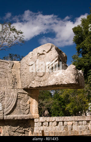 Kukulkan (gefiederte Schlange), die Maya Schlange Gottheit an der steinernen Schädels Plattform (tzompantli), Chichen Itza, Mexiko. Stockfoto