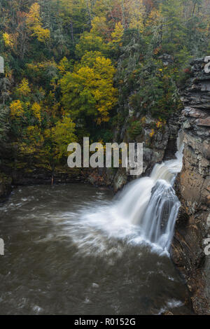 Linville Falls North Carolina im Herbst - North Carolinas #1 Wasserfall mit Herbst / Herbst Farben. Wasserfalldurchgänge über Felsen am Linville River. Stockfoto