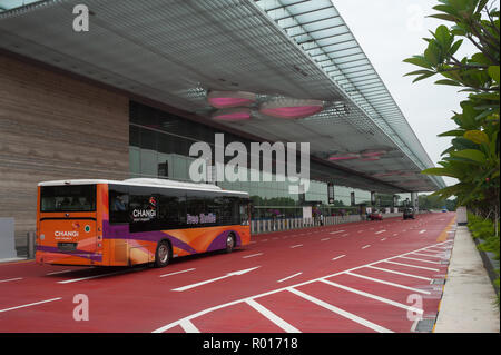 Singapur, Republik Singapur, neues Terminal 4 am Flughafen Changi Stockfoto