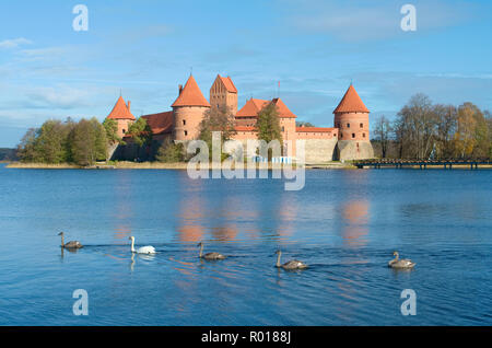 Mittelalterliche Burg von Trakai, Vilnius, Litauen, Osteuropa, zwischen den wunderschönen Seen und Natur mit der Familie von Schwänen entfernt Stockfoto