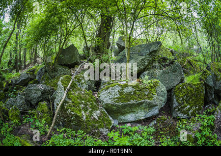 Verlassene Reste des zerstörten Bunker der Festung Breslau. Stockfoto