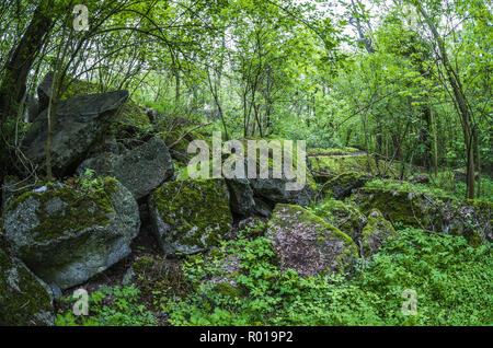 Verlassene Reste des zerstörten Bunker der Festung Breslau. Stockfoto