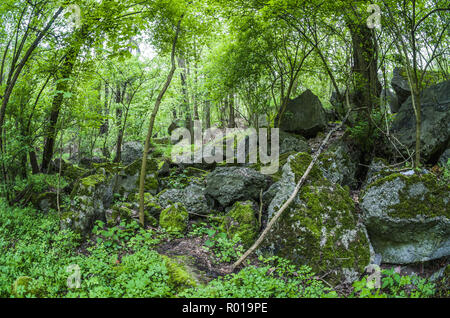 Verlassene Reste des zerstörten Bunker der Festung Breslau. Stockfoto