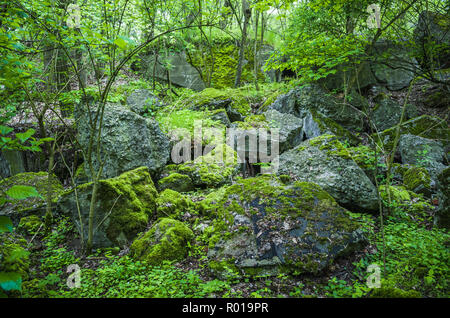 Verlassene Reste des zerstörten Bunker der Festung Breslau. Stockfoto