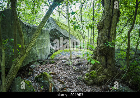 Verlassene Reste des zerstörten Bunker der Festung Breslau. Stockfoto