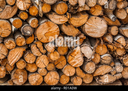 Stapel von Holz. bereit für den Wald Feuer. Stockfoto