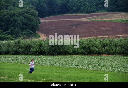 Ein jüdisches Kind läuft über ein Feld zum Ernten von Früchten Obstgärten zu erhalten. Stockfoto