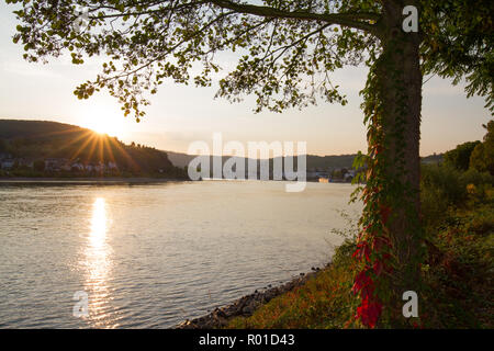 Das Dorf von Boppard, Deutschland, am Rhein am frühen Morgen Stockfoto