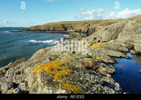 Carmel Kopf ist eine Küstenstadt Landspitze auf der nordwestlichen Seite von Anglesey in Nordwales. Es ist eine SSSI für seine geologischen Interesse bezeichnet. Stockfoto