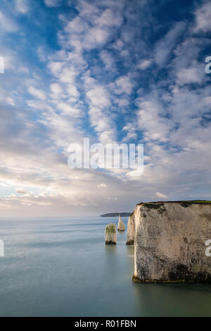 Die Pinnacles von Ballard, Isle of Purbeck, Dorset, England Stockfoto