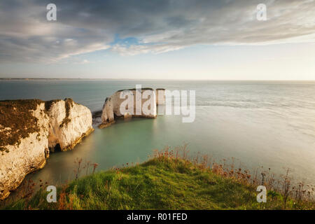 Old Harry Rocks von Ballard, Swanage, Dorset, England Stockfoto