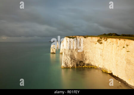 Die Pinnacles von Ballard, Isle of Purbeck, Dorset, England Stockfoto