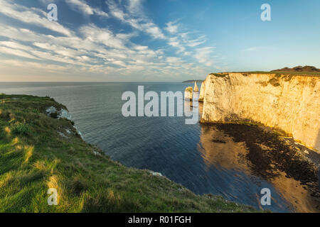 Die Pinnacles von Ballard, Isle of Purbeck, Dorset, England Stockfoto