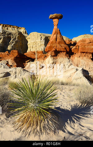 Fliegenpilz Felsformationen, Kanab, Utah, USA Stockfoto