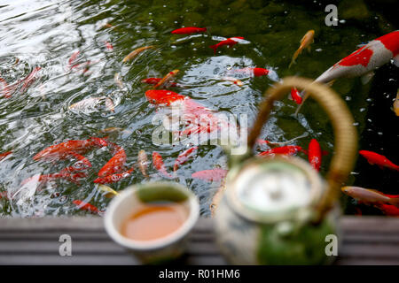 Kaffee Set der Goldfisch Stockfoto