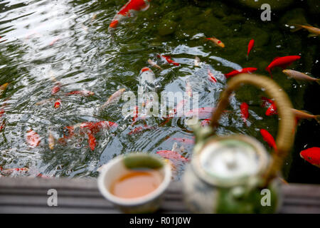 Kaffee Set der Goldfisch Stockfoto