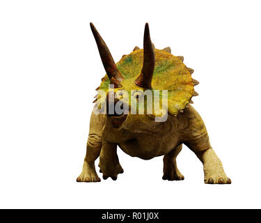 Dinosaurier TRICERATOPS horridus, ausgestorbene prähistorische Tier (3D-Render auf weißem Hintergrund) Stockfoto