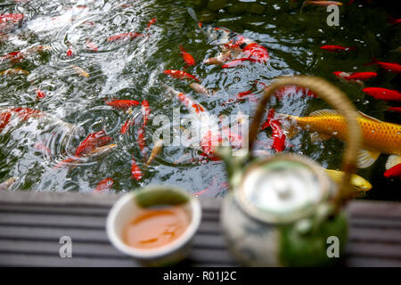 Kaffee Set der Goldfisch Stockfoto