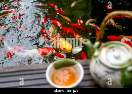 Kaffee Set der Goldfisch Stockfoto