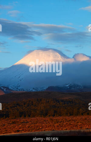 Letztes Licht auf Mt Ngauruhoe, Tongariro National Park, Central Plateau, North Island, Neuseeland Stockfoto