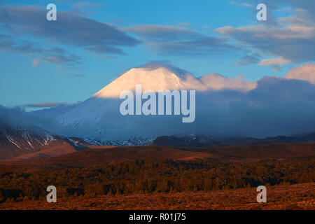 Sonnenuntergang auf Mt Ngauruhoe, Tongariro National Park, Central Plateau, North Island, Neuseeland Stockfoto