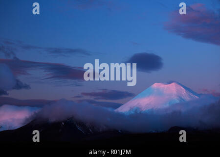 Alpenglühen auf Mt Ngauruhoe bei Sonnenuntergang, Tongariro National Park, Central Plateau, North Island, Neuseeland Stockfoto