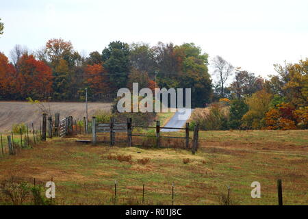 Herbst Blätter auf alte Back Country Road. Stockfoto