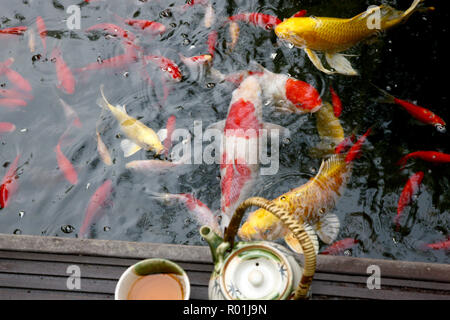 Kaffee Set der Goldfisch Stockfoto