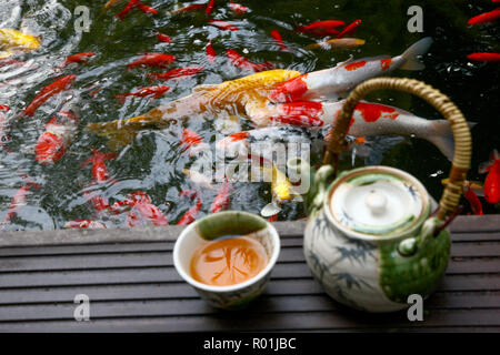 Kaffee Set der Goldfisch Stockfoto