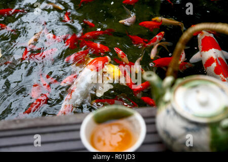 Kaffee Set der Goldfisch Stockfoto