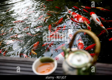 Kaffee Set der Goldfisch Stockfoto