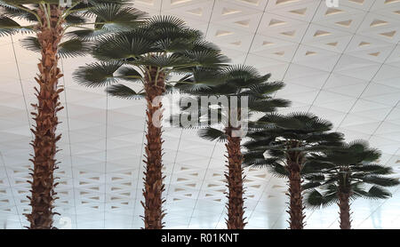 China Wuhan Tianhe - September 10, 2018: Innenraum an den Internationalen Flughafen Wuhan Tianhe. Von vielen Baum dekoriert. Gefühl relaximg. Stockfoto