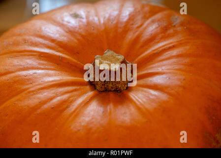 Preston, Lancashire, UK. 31. Oktober, 2018. Halloween Kürbis, Chipping, Preston, Lancashire. Quelle: John Eveson/Alamy leben Nachrichten Stockfoto