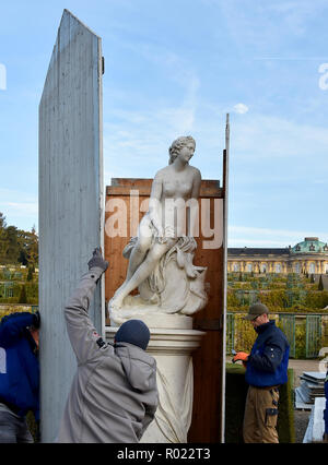 Potsdam, Deutschland. 01 Nov, 2018. Schreiner Haus die Skulpturen im Erdgeschoss vor dem Schloss Sanssouci. Die Skulpturen im Park sind daher vom Winter Einflüsse geschützt. Foto: Bernd Settnik/dpa-Zentralbild/dpa/Alamy leben Nachrichten Stockfoto