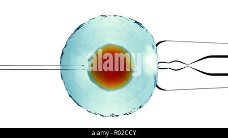 Künstliche Befruchtung, unterstützt. Befruchtete Zelle, Ovum. Künstliche Verpflanzung. Ansicht unter dem Mikroskop. Wissenschaft. 3D-Rendering Stockfoto