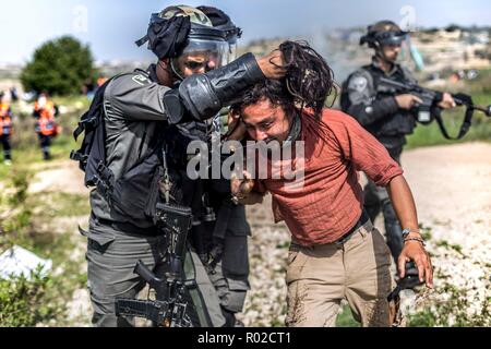 Israelische Grenze Polizisten gesehen der Verhaftung eine internationale Aktivist während des Protestes. Palästinenser kümmert sich um den Protest der dreizehnten Jahrestag gegen den Bau der Mauer trennt palästinensische Gebiet von Land, das von der israelischen Armee, wo Siedler befinden sich genommen wurde, zu gedenken. Stockfoto