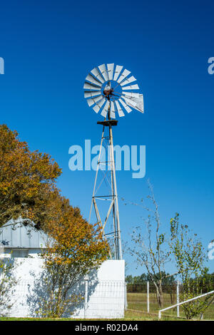 Windmühlen in Texas Stockfoto