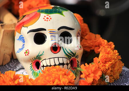 Traditionelle Sugar Skull in Tag der Toten altar Anzeige Stockfoto