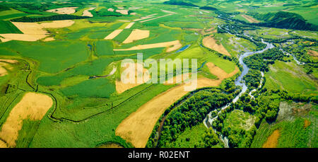 Grüne Felder Luftaufnahme vor der Ernte im Sommer Stockfoto