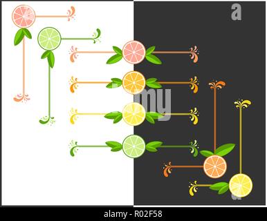 Frischen Zitrusfrüchten vektor Frames und Text Teiler einstellen. Saftige Scheiben von Limette, Zitrone, Orange und Pampelmuse mit Blättern. Sommer Elemente für Menü, Dekoration Stock Vektor